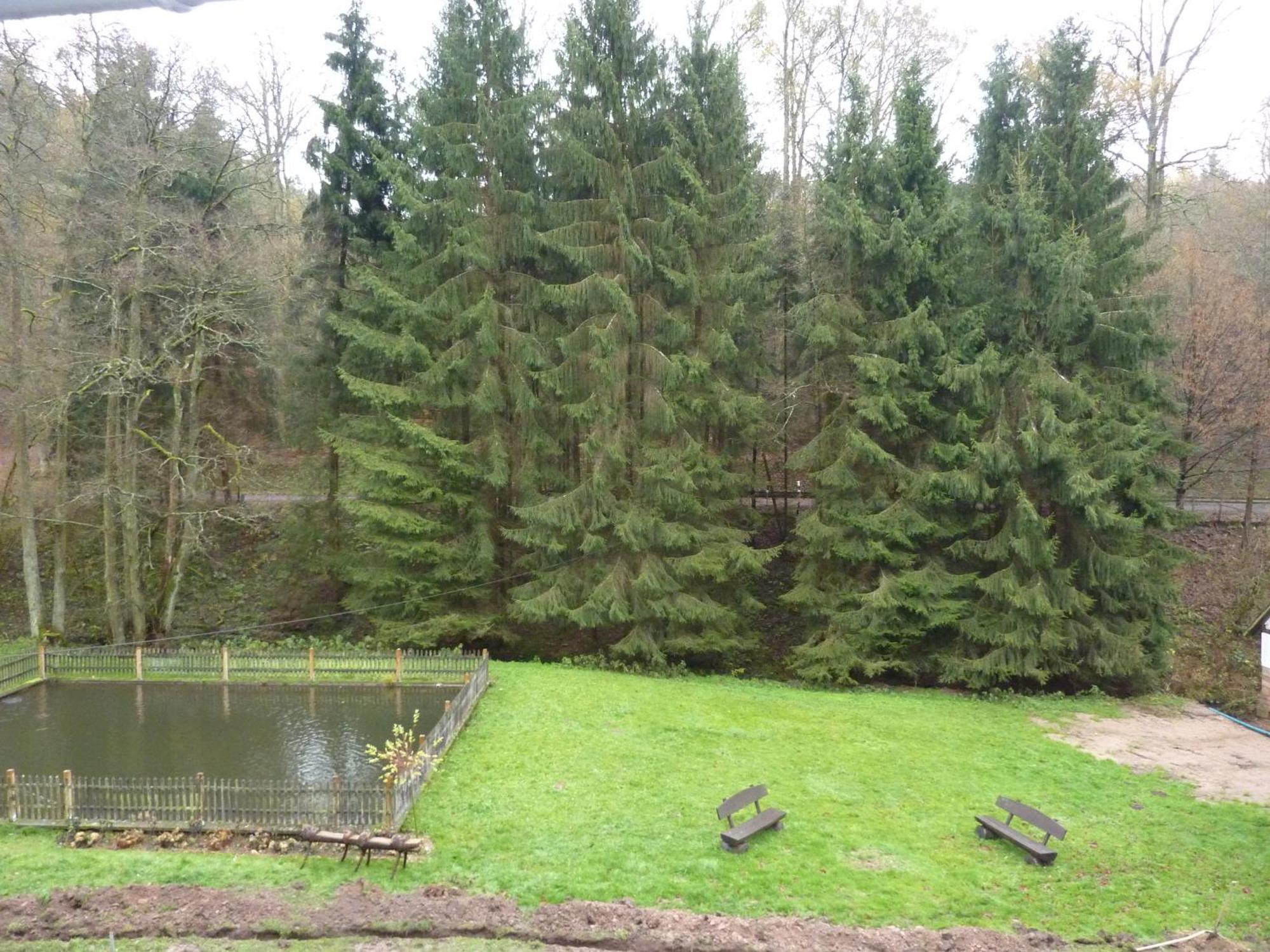 Hof Guttels Waldgasthof Ferienpension Rotenburg an der Fulda Habitación foto